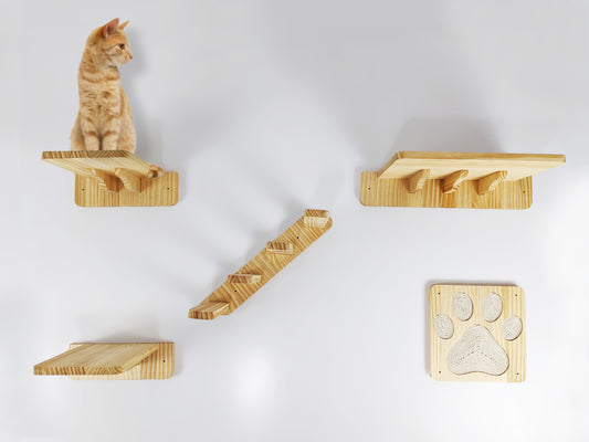 Cat Paw collection